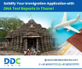 Solidify Your Immigration Application with DNA Test Reports in Thane

Immigration methods often involve different types of documentation and confirmation to confirm family connections. In many cases, particularly when official paperwork is insufficient or missing, DNA testing becomes a dependable way to prove biological relationships.

If you are looking for immigration DNA tests in Thane, you have come to the right place. DDC Laboratories India offers accredited, accurate & reliable immigration DNA testing services. We have over 250 collection centres worldwide.

Call +91 8010177771 or WhatsApp at +91 9213177771.

Visit us: https://www.ddclaboratories.com/immigration-dna-tests-in-thane-maharashtra/

#DNAtestsinThane
#ImmigrationDNATestsinThane