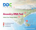 Ancestry DNA Test – Unlock Your Genetic History

Are you curious about your genetic roots, ethnic background, or family lineage? An Ancestry DNA Test can provide the answers you’re searching for. At DDC Laboratories India, one of the most trusted and recognized DNA testing companies in India, we specialize in accurate and confidential ancestry DNA testing. Being a NABL-accredited and ISO-certified laboratory, we ensure the highest standards of quality and reliability. With 250+ sample collection centers across India and abroad, we make testing simple and convenient. Our painless buccal swab collection process guarantees comfort, while our expert team ensures accurate results, complete confidentiality, and timely reporting. Known for precise results, professional support, and affordable pricing, DDC Laboratories India is the preferred choice for individuals who wish to discover their ancestral origins. You can easily order your Ancestry DNA Test kit online or connect with us directly. Call us today at +91 8010177771 or WhatsApp us at +91 9213177771 to learn more.
Visit us: https://www.ddclaboratories.com/ancestry-dna-tests/

#ancestrytesting #Geneticancestrytesting #DNAAncestryTestKit #AncestryTestKit #DNAAncestryTest #AncestryDNAtesting #DNATestingforAncestry