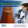 DDC Laboratories India - Surat's Trusted Choice for DNA Tests!

If you are searching for immigration DNA tests in Surat, India, visit DDC Laboratories India. Here, we provide accredited immigration DNA tests at competitive prices. We also offer various configurations for immigration DNA tests, like Paternity, Maternity, Sibling-ship, and grandparentage DNA tests.

We have more than 250 collection centres worldwide. Our advanced technology and experienced DNA testing team offer accurate & reliable results within 8 to 10 days.

Call us at +91 8010177771 or WhatsApp at +91 9213177771.

Visit us: https://www.ddclaboratories.com/immigration-dna-tests-in-surat-gujarat/

#DNAtestsinSurat
#ImmigrationDNATestsinSurat