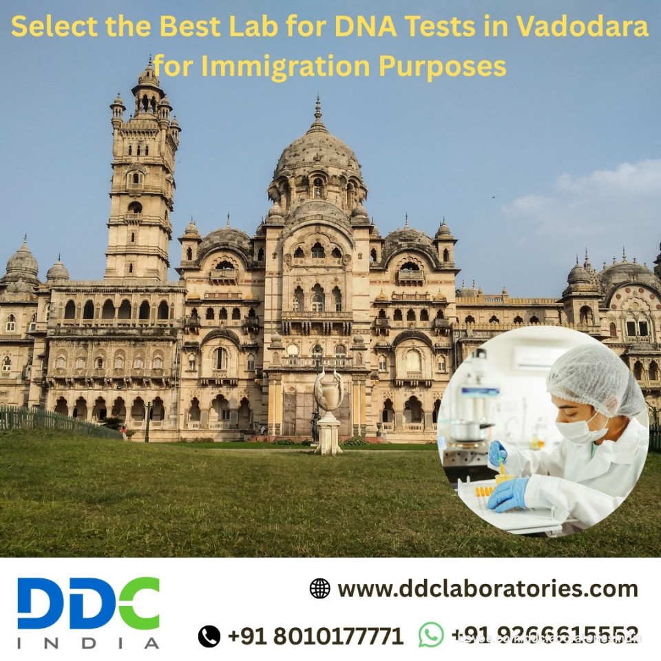 Select the Best Lab for DNA Tests in Vadodara for Immigration Purposes

The journey of immigration often involves fulfilling several legal, procedural, and documentation requirements. Among these, proving biological relationships can be a significant step for families seeking to reunite abroad. If you are looking for immigration DNA tests in Vadodara, you have come to the right place.

At DDC Laboratories India, we offer accredited immigration DNA tests at competitive prices. We have over 250 collection centers nationwide and worldwide. Our advanced technology & experienced team provide accurate & reliable results within 8 to 10 days.

Call us at +91 8010177771 or WhatsApp at +91 9266615552 to schedule an appointment.

Visit us: https://www.ddclaboratories.com/immigration-dna-tests-in-vadodara/

#DNATestsinVadodara
#ImmigrationDNATestsinVadodara