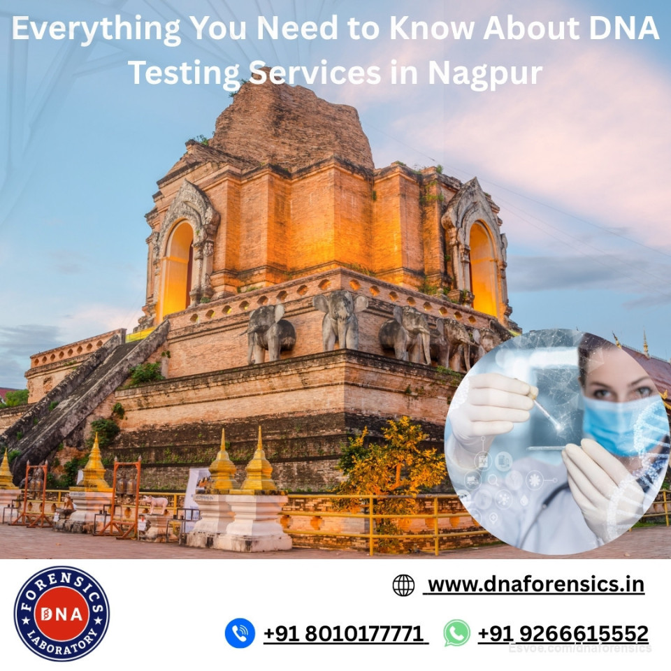 Everything You Need to Know About DNA Testing Services in Nagpur

In the modern world, DNA testing provides significant assistance in answering some of life’s most important questions. If you are a resident of Nagpur and looking for DNA testing services, your search ends here.

At DNA Forensics Laboratory, we offer accurate and reliable DNA tests in India, including Nagpur. Whether you need a DNA test for personal reasons, legal matters, or immigration purposes, knowing the cost in advance helps you plan better. We have over 400 collection centers across India and abroad.

To learn more about the DNA test cost in Nagpur, call us at +91 8010177771 or WhatsApp us at +91 9266615552.

Visit us: https://www.dnaforensics.in/dna-test-in-nagpur-maharashtra/

#DNATestCostinNagpur