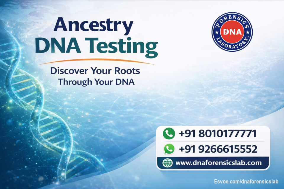 Ancestry DNA Testing: Explore Your Family Origins

Discover your true heritage with a reliable DNA Ancestry Test Kit designed to uncover your family origins with scientific accuracy. A DNA Ancestry Test is an advanced method that analyzes your genetic markers to reveal your ethnic background and ancestral roots beyond traditional family records. Through modern Ancestry DNA testing, you can gain valuable insights into where your ancestors came from and how your lineage evolved over generations. DNA Testing for Ancestry in India has become simple, precise, and easily accessible. DNA Forensics Laboratory Pvt. Ltd. provides trusted, scientifically validated ancestry testing services at competitive prices. With more than 400 sample collection centers worldwide, the process is smooth, confidential, and convenient. Your comprehensive ancestry report is typically delivered within 4–5 weeks. You can also conveniently order a DNA Ancestry Test Kit from the comfort of your home. For more information about DNA Ancestry Testing, Ancestry DNA Testing, or DNA Testing for Ancestry, call us at +91 8010177771 or WhatsApp us at +91 9266615552.
Visit us: https://www.dnaforensicslab.com/ancestry-dna-test-in-india/

#AncestryDNA #DNAAncestryTestinIndia #AncestryTest #AncestryTestIndia #ancestrytesting #geneticancestrytesting #DNAAncestryTestKit #AncestryTestKit #DNAAncestryTest #AncestryDNAtesting #DNATestingforAncestry