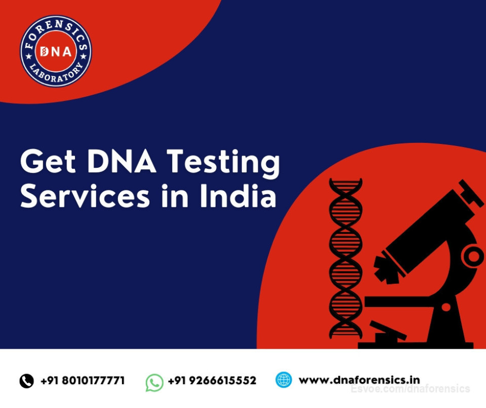 DNA Testing Services in India

DNA, or deoxyribonucleic acid, is the molecule that contains the genetic instructions for most living organisms. It shapes physical traits, influences health, and reveals connections between individuals through shared ancestry. DNA testing analyzes specific sections of this genetic material to provide insights related to health, identity, and heritage.

At DNA Forensics Laboratory Pvt. Ltd., we offer accurate and dependable DNA testing services in India. Our facility is equipped with advanced technology and staffed by experienced professionals. We provide a wide range of tests, including paternity, ancestry, and immigration DNA testing. With more than 400 collection centers across India and abroad, accessing our services is convenient and hassle-free.

For queries or assistance regarding our DNA testing services, you can contact us at +91 8010177771 or reach us on WhatsApp at +91 9266615552.

Visit us: https://www.dnaforensics.in/

#dnatest #dnatesting #dnatestingindia
