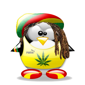 Сашка Райка