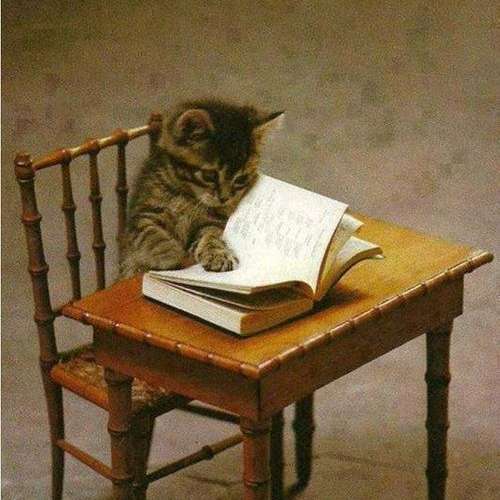 Надя Чернега