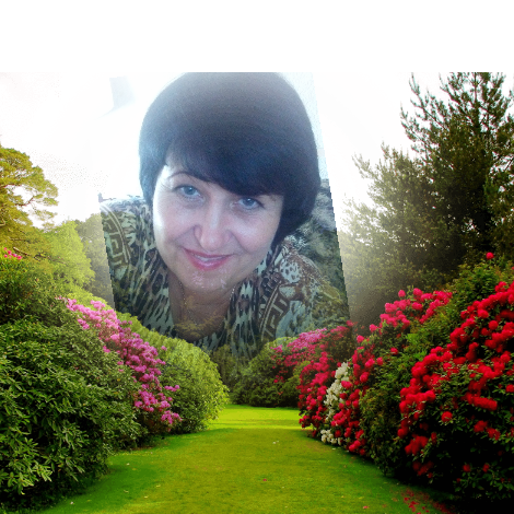 Алла Беляева