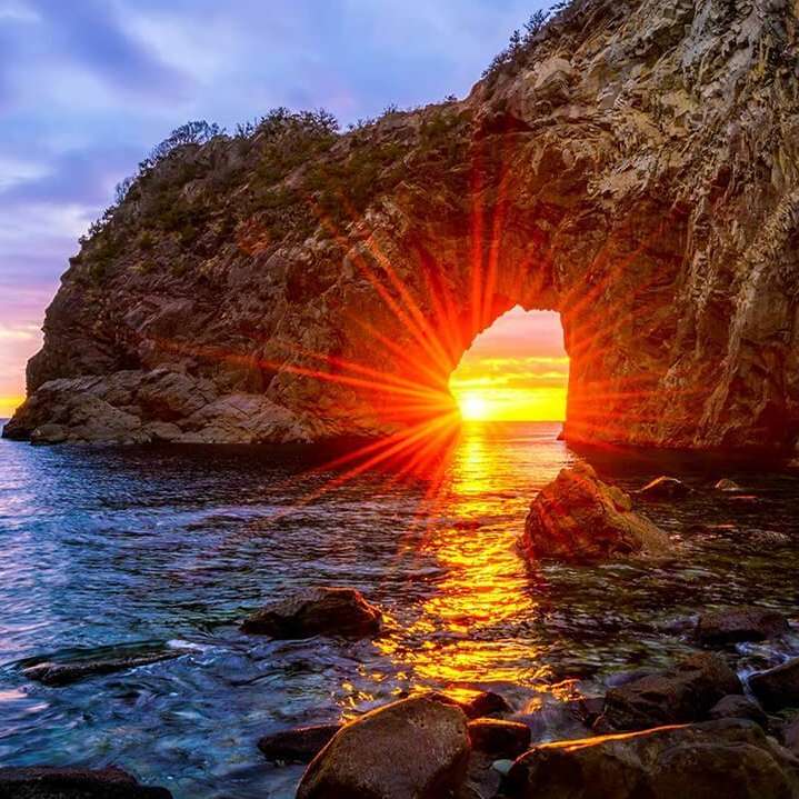 Ніка Кияниченко