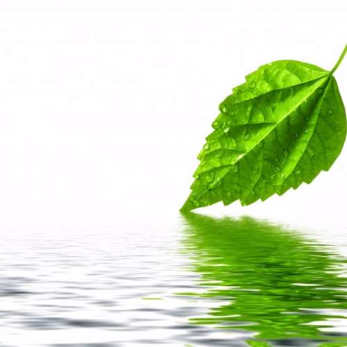 Виктор Мордас