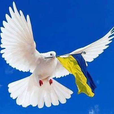 Володимир Куча