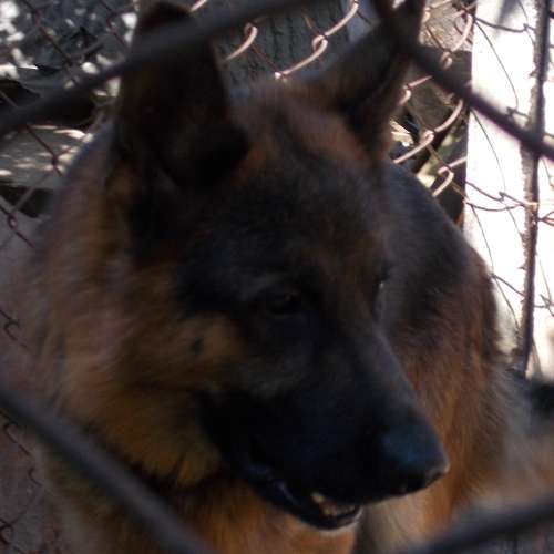 Николай  ✔:-)