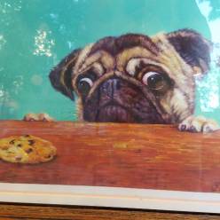 :hibiscus: І :hibiscus: