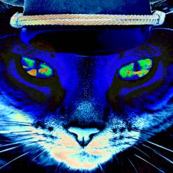 Ендрюша Рейххъ