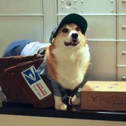 Томас Возняк