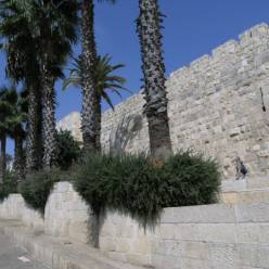 Антоша Пупсик